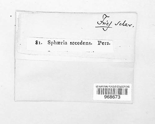 Sphaeria secedens image